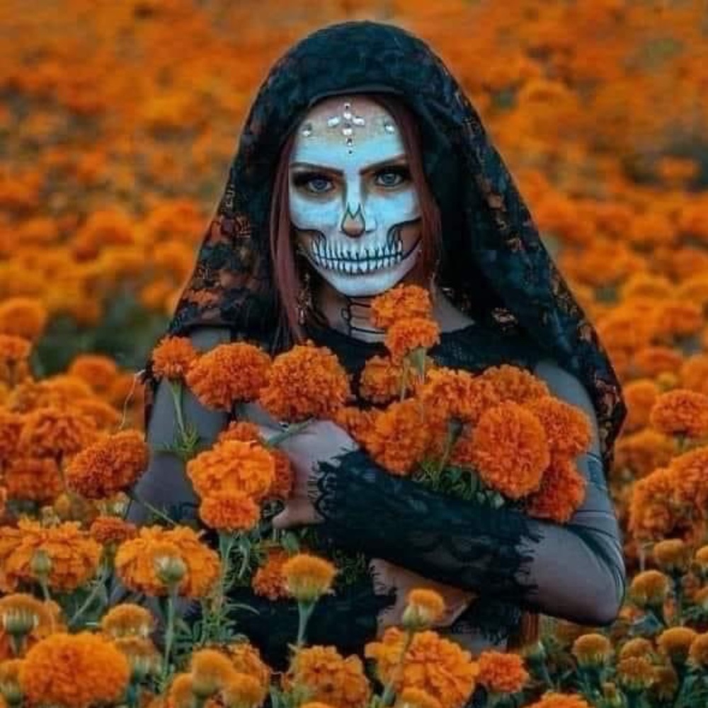 Meet your Posher, Joylove’s